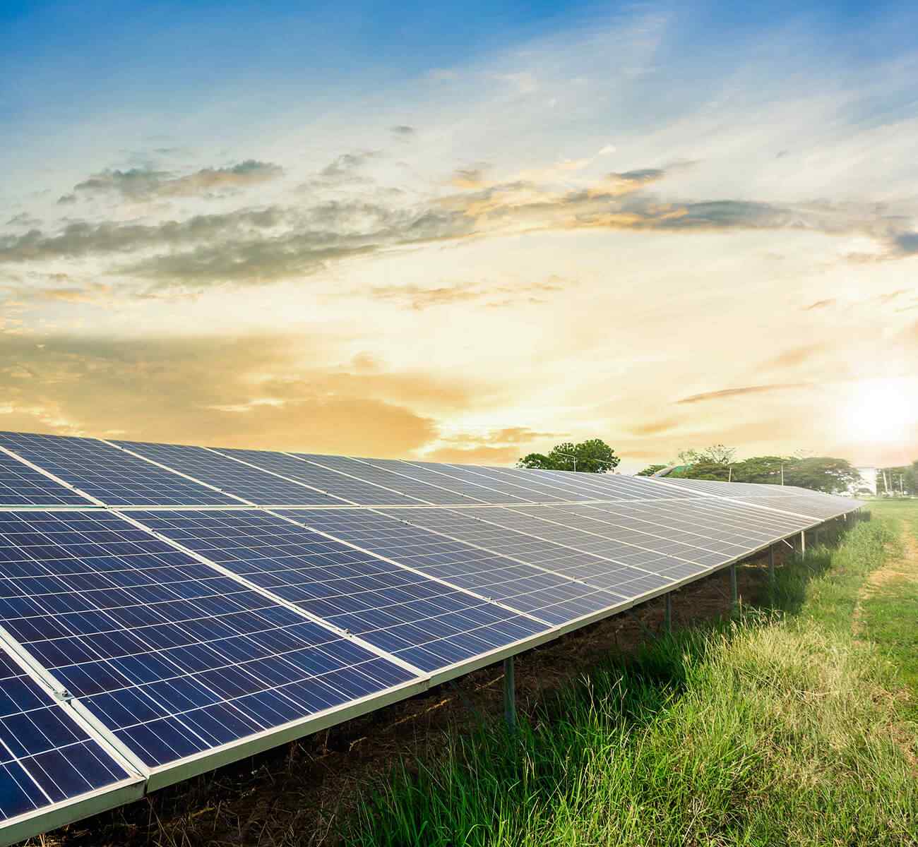 image_inner_10 https://evelina100.org/wp-content/uploads/2022/03/image_inner_10.jpg